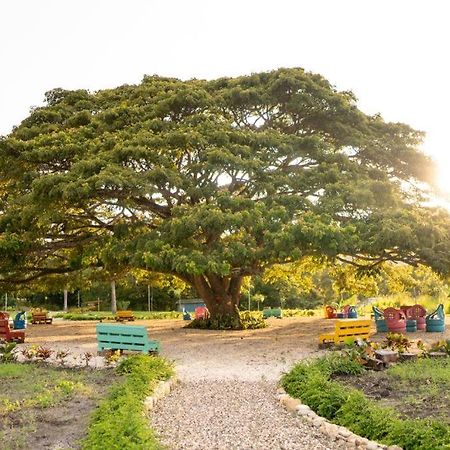 Hacienda La Huerta, Puerto Plataヴィラ エクステリア 写真