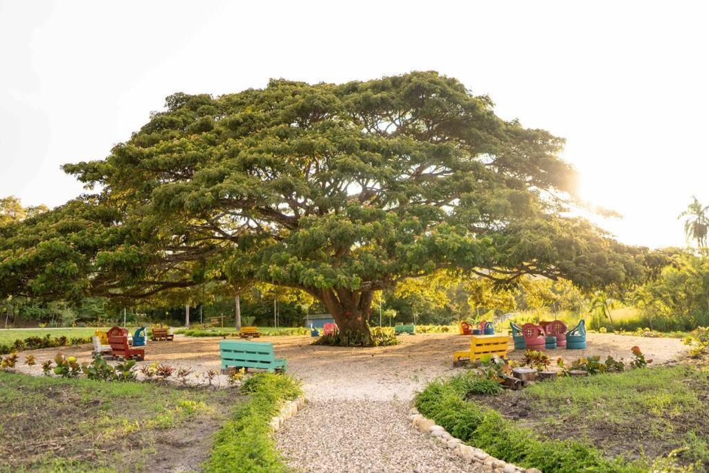 Hacienda La Huerta, Puerto Plataヴィラ エクステリア 写真